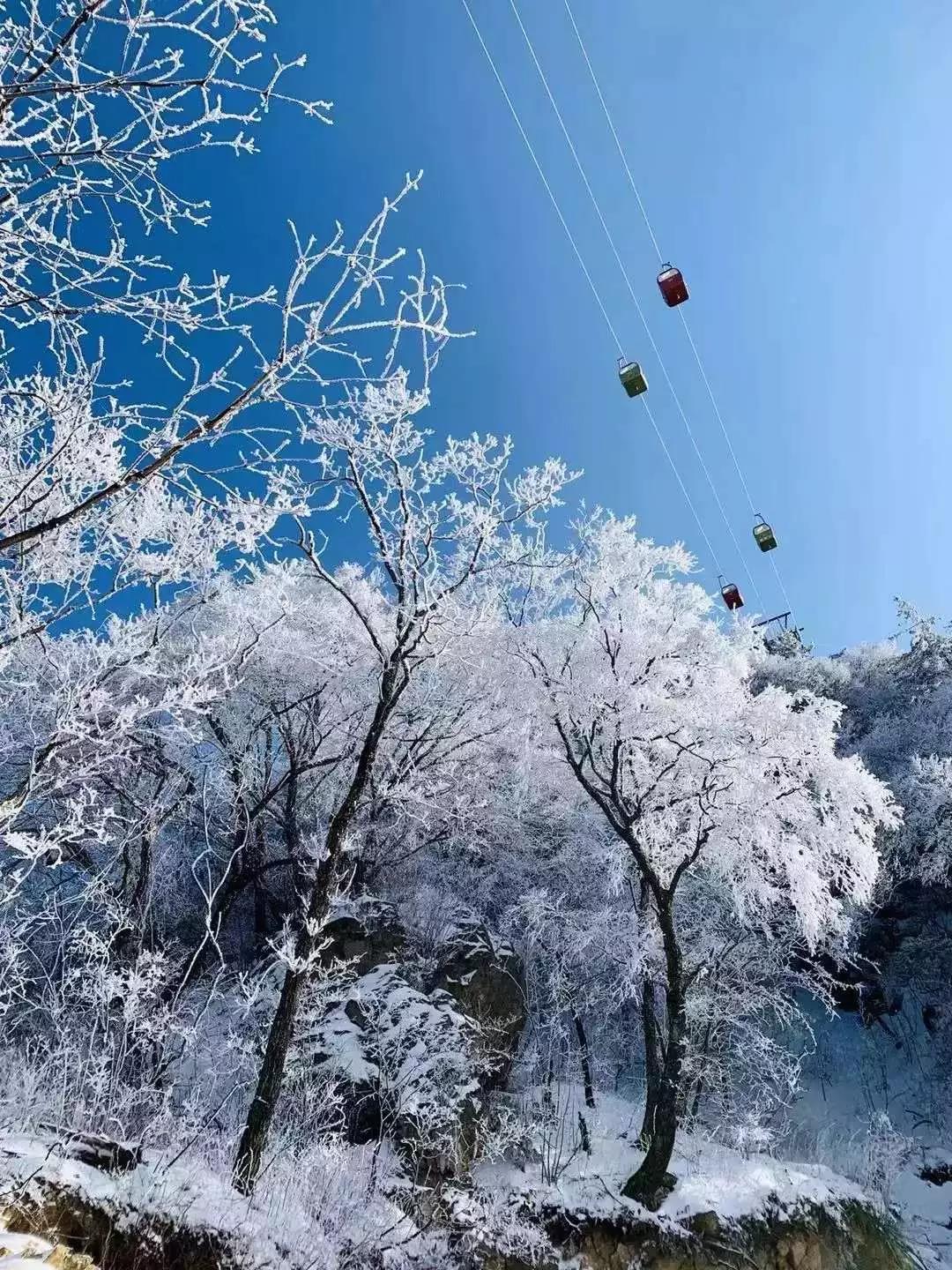 老君山纯玩一日游